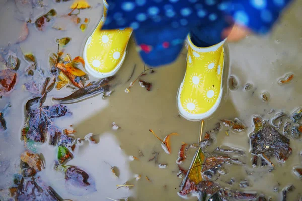 黄色のレインブーツを着て 秋の日に汚れた水たまりに飛び込む子供 幼児の女の子は雨の日に公園で水と泥で楽しんでいます 子供のための屋外秋の活動 — ストック写真