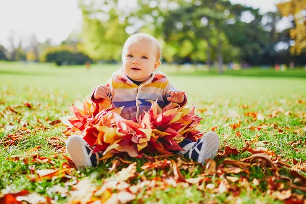 Entzückendes Kleines Mädchen Sitzt Einem Großen Haufen Bunter Herbstblätter Einem — Stockfoto