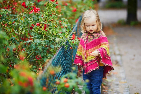 Urocza Dziewczynka Spacerująca Parku Jesienią Paryżu Dziecko Cieszące Się Jesienią — Zdjęcie stockowe