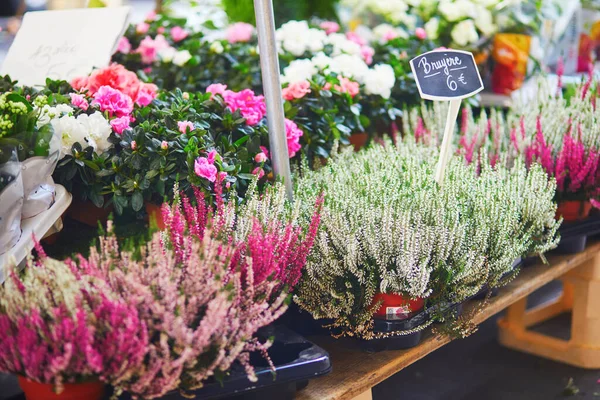 フランス パリの地元の花市場で販売のためのヘザー — ストック写真