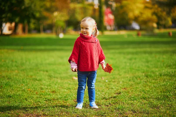Menina Adorável Criança Brincando Parque Outono Miúdo Feliz Gostar Dia — Fotografia de Stock