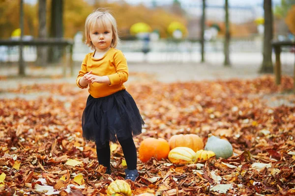 Menina Adorável Criança Shirt Laranja Tutu Preto Brincando Com Abóboras — Fotografia de Stock