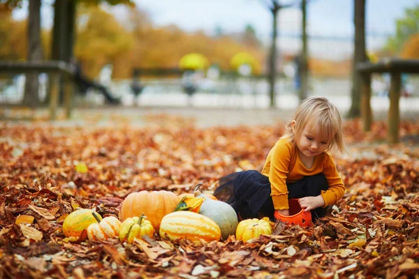 Adorable toddler girl in orange t-shirt and black tutu playing with colorful pumpkins and orange bucket lying on the ground in orange autumn fallen leaves. Happy kid celebrating Halloween
