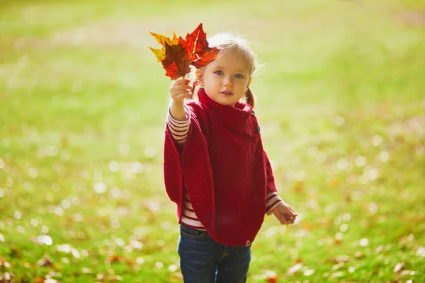 Schattig Peutermeisje Dat Het Najaarspark Speelt Gelukkige Jongen Geniet Van — Stockfoto