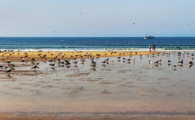 Porto, Portekiz - 5 Eylül: Porto en eski Avrupa merkezleri biridir. 5 Septemver 2016, Porto, Portekiz Atlantik Okyanusu'nun sahil şeridi göster.