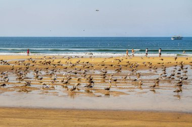 Porto, Portekiz - 5 Eylül: Porto en eski Avrupa merkezleri biridir. 5 Septemver 2016, Porto, Portekiz Atlantik Okyanusu'nun sahil şeridi göster.
