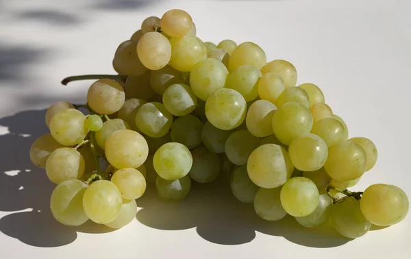 Masa Zielony Soczysty Vinog — Zdjęcie stockowe