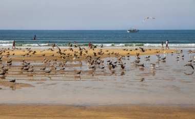 Porto, Portekiz - 5 Eylül: Porto en eski Avrupa merkezleri biridir. 5 Septemver 2016, Porto, Portekiz Atlantik Okyanusu'nun sahil şeridi göster.