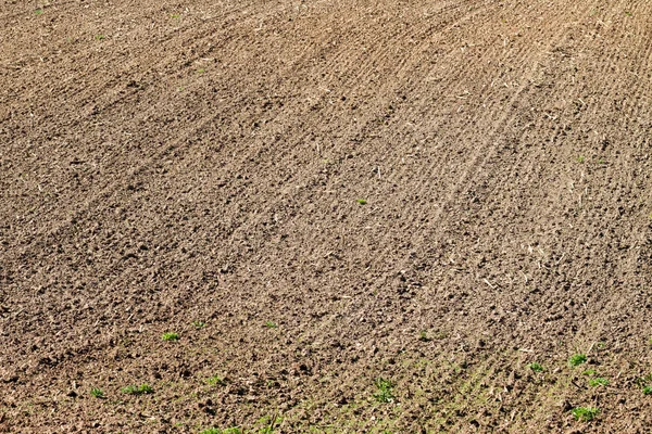 Surface Natural Plowed Field — Stock Photo, Image