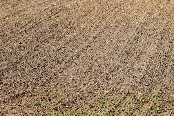 Oberfläche Des Natürlichen Gepflügten Feldes — Stockfoto