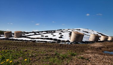 Silaj gıda alan altında beyaz polietilen.