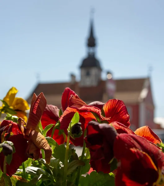 拉脱维亚小城市包什卡中心 — 图库照片