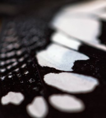 Ttexture yakın çekim kelebek kanatlarında.