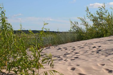 Dunes plaj üzerinde göster.