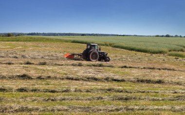 Görünüm alanının yeni saman ile.