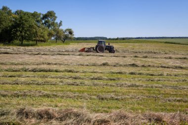 Görünüm alanının yeni saman ile.