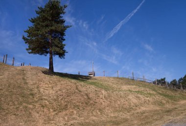  Güvenlik nesnesi dikenli tepede.