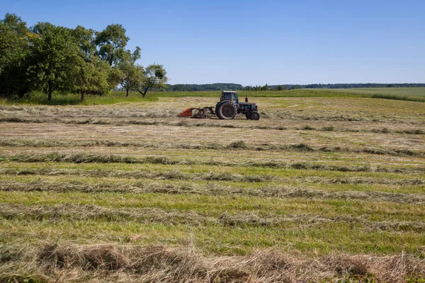 Görünüm alanının yeni saman ile.