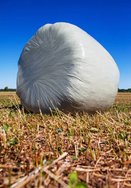 Silage Wrapped White Membrane Food Cows — Stock Photo, Image