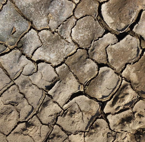 Terreno Agrietado Campo Tiempos Sequía —  Fotos de Stock