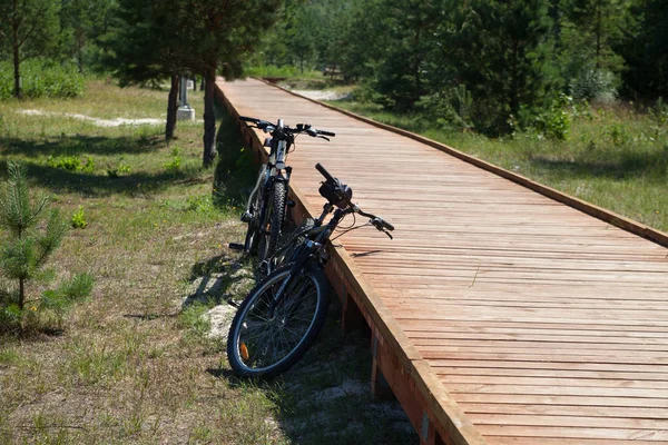 ラトビア 自転車観光は のこの世界を発見する最も賢い方法です 2018 バルト海リガ ラトビアの砂丘で木製のパスで つの自転車 — ストック写真