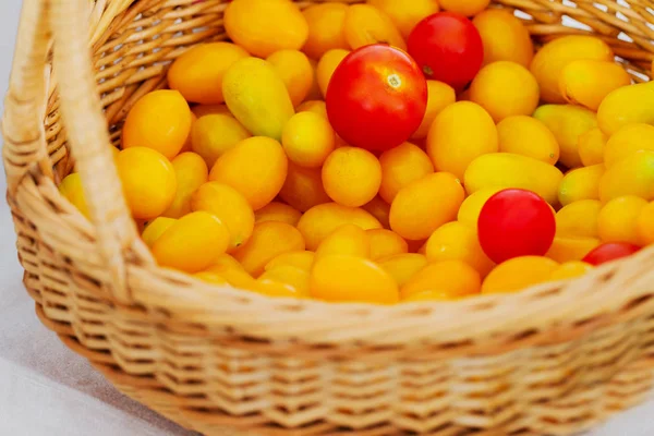 Tomates Amarillos Rojos Una Canasta — Foto de Stock