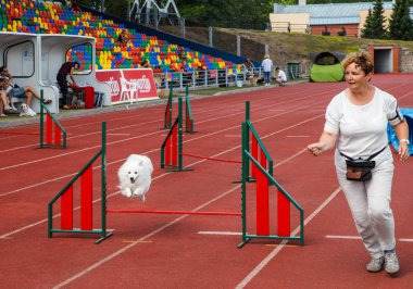 Letonya, Liepaja - 5 Temmuz: insan ve hayvan arasındaki ilişkiyi köpek shou, stadyum üzerinde 5 Temmuz 2018, Liepaja, Letonya.