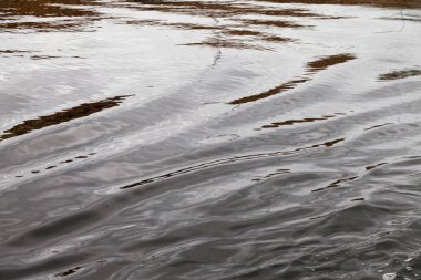 Su, Baltık Denizi yüzeyinde dalgalanma.