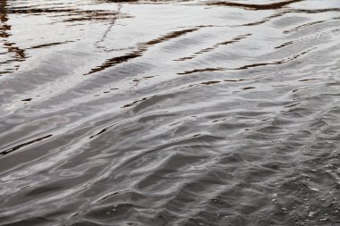 Su, Baltık Denizi yüzeyinde dalgalanma.