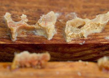 Antimikrobiyal madde bir çerçeve içinde arı kovanı, Propolis çağrıda makro.