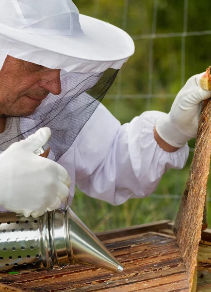 Pszczelarzy Pracuje Jego Pasieki — Zdjęcie stockowe