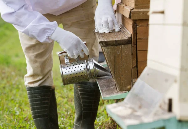 Pszczelarzy Pracuje Jego Pasieki — Zdjęcie stockowe