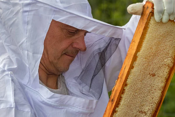 Imker Arbeitet Seinem Bienenhaus — Stockfoto