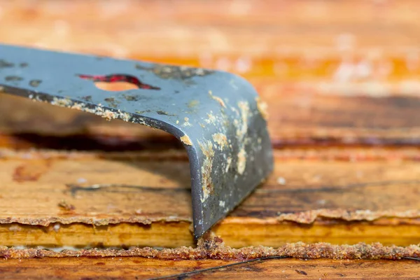 Werkzeug Der Imkerei Auf Honigrahmen — Stockfoto