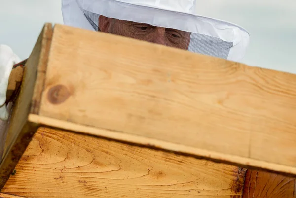 Apiarist Werkt Zijn Bijenteelt — Stockfoto