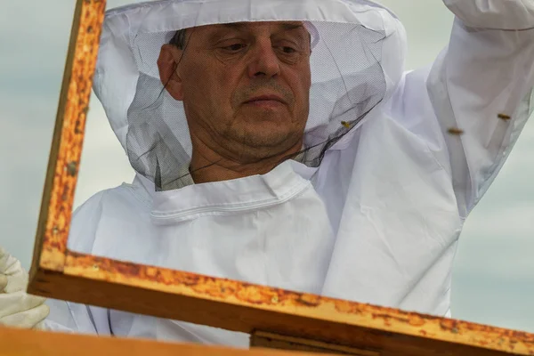 Apiarist Sta Lavorando Nel Suo Apiario — Foto Stock