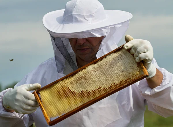 Μελισσοκόμος Εργάζεται Στο Μελισσοκομείο Του — Φωτογραφία Αρχείου