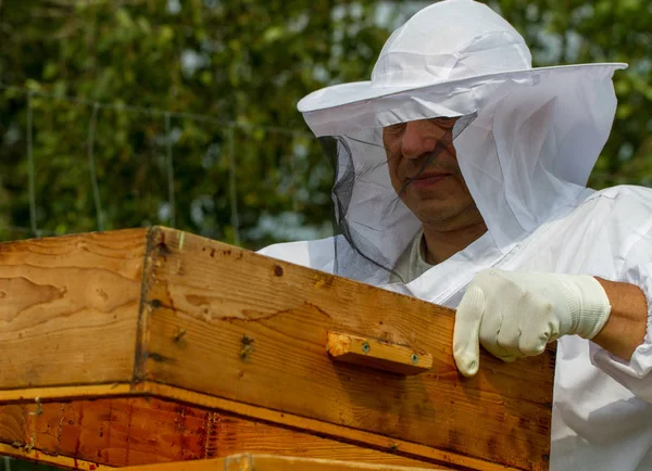 養蜂家は彼の養蜂場で働いています — ストック写真