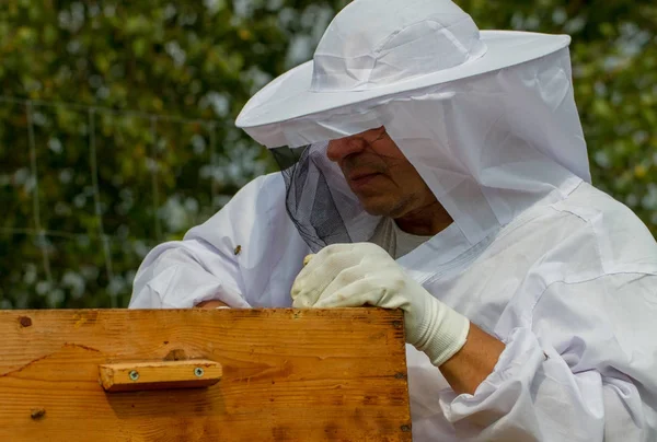 養蜂家は彼の養蜂場で働いています — ストック写真