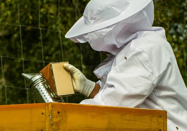 Apiarist Werkt Zijn Bijenteelt — Stockfoto