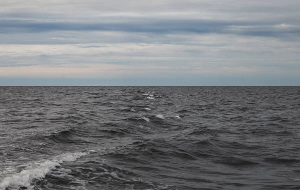 Vista Para Mar Báltico Aberto Partir Navio — Fotografia de Stock