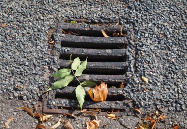 Kanalizasyon ızgaraları bir sonbahar sokakta.