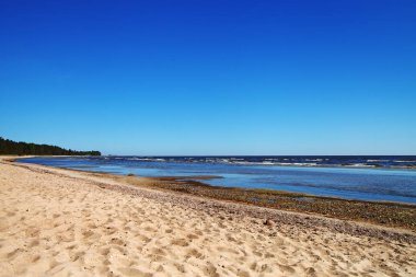 Baltık deniz kıyısına bakın..