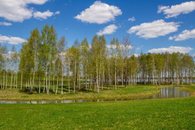 Bir bahar zaman görüş belgili tanımlık su kanalı ve göl.