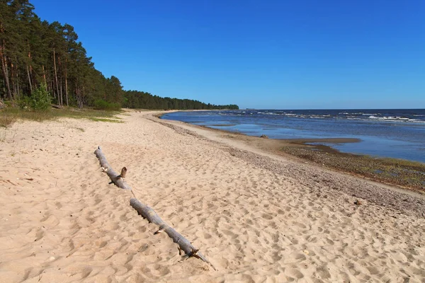 Vue Sur Côte Mer Baltique — Photo