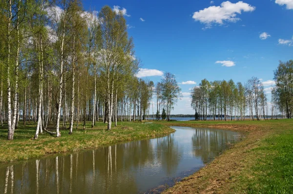 Vista Para Canal Água Lago Tempo Primavera — Fotografia de Stock