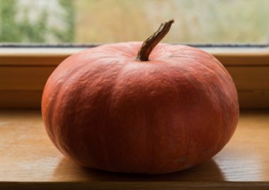 Pencere üzerinde büyük portakal balkabağı.