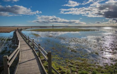 Ahşap yolu göle kuş gözlem kulesi Liepaja, Letonya.