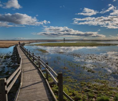 Ahşap yolu göle kuş gözlem kulesi Liepaja, Letonya.