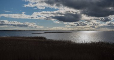 Sonbaharda reed ile göl.